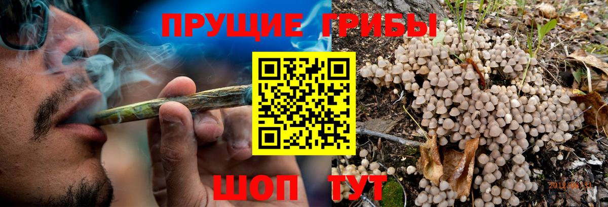 Псилоцибиновые грибы Psilocybine cubensis  где найти наркотики  Орехово-Зуево  Вход с VPN 